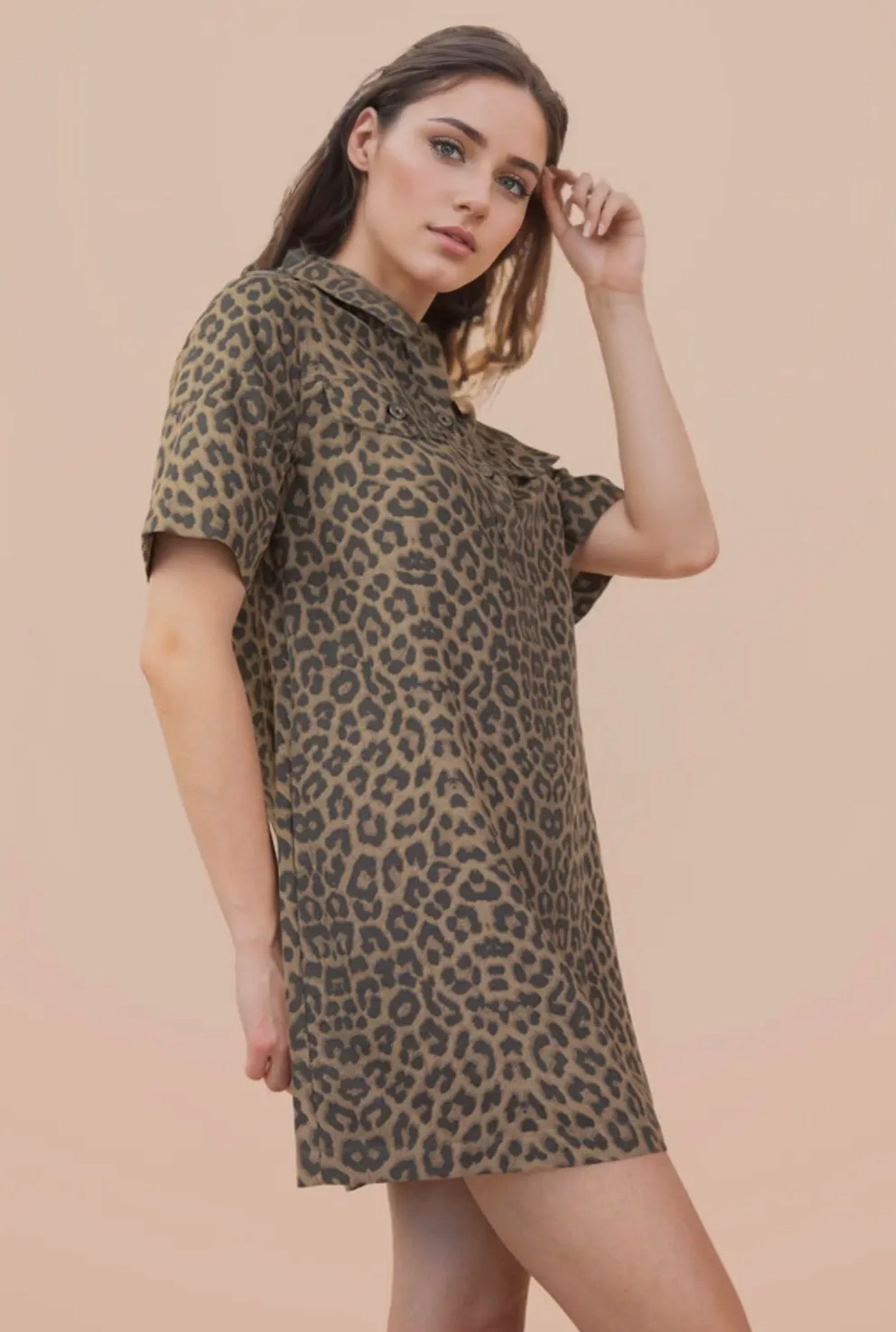 Alina Leopard Mini Dress