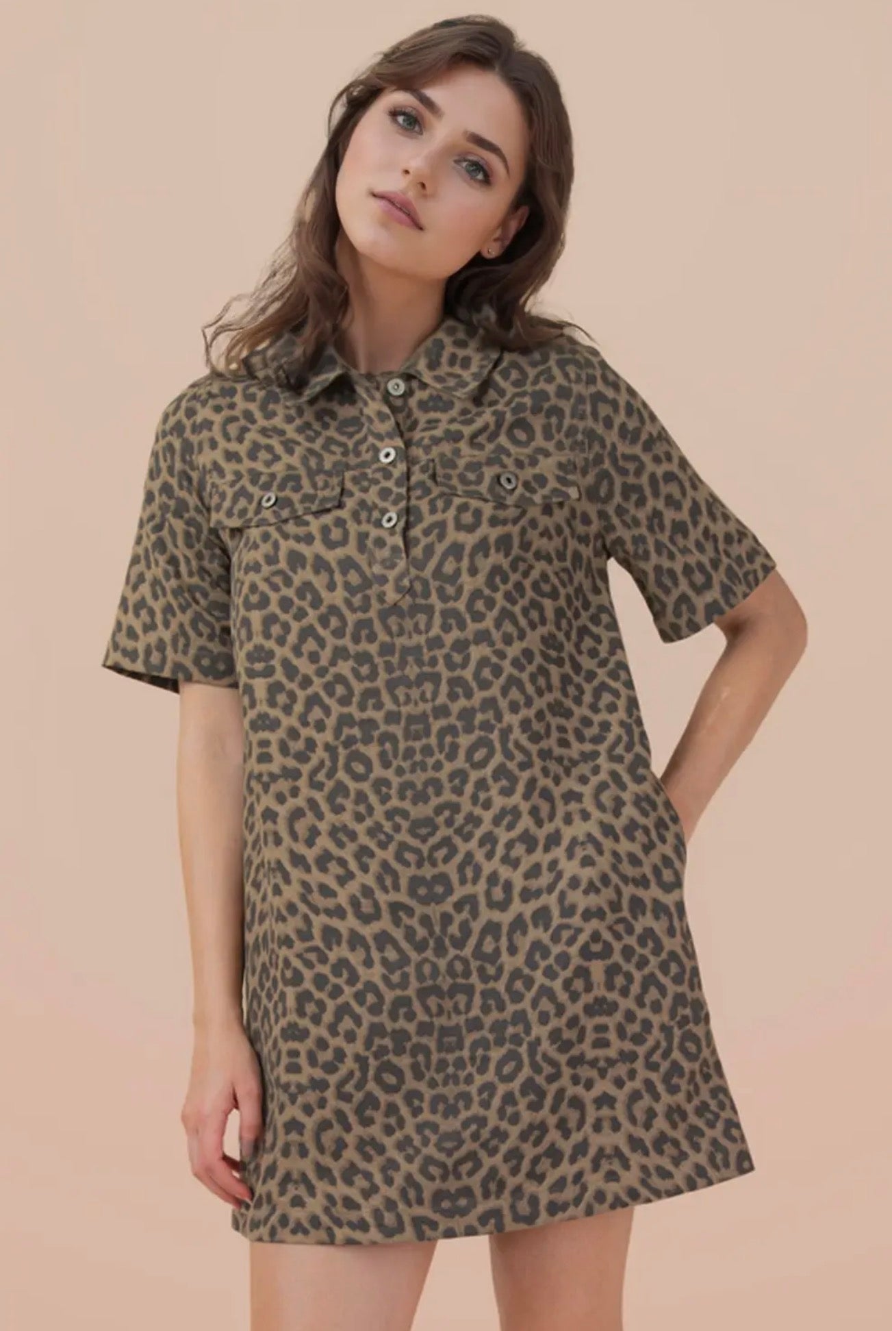 Alina Leopard Mini Dress